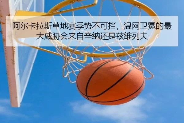 a-er-ka-la-si-cao-di-sai-ji-shi-bu-ke-dang-wen-wang-wei-mian-de-zui-da-wei-xie-hui-lai-zi-xin-na-hai-shi-zi-wei-lie-fu-2-978.jpg